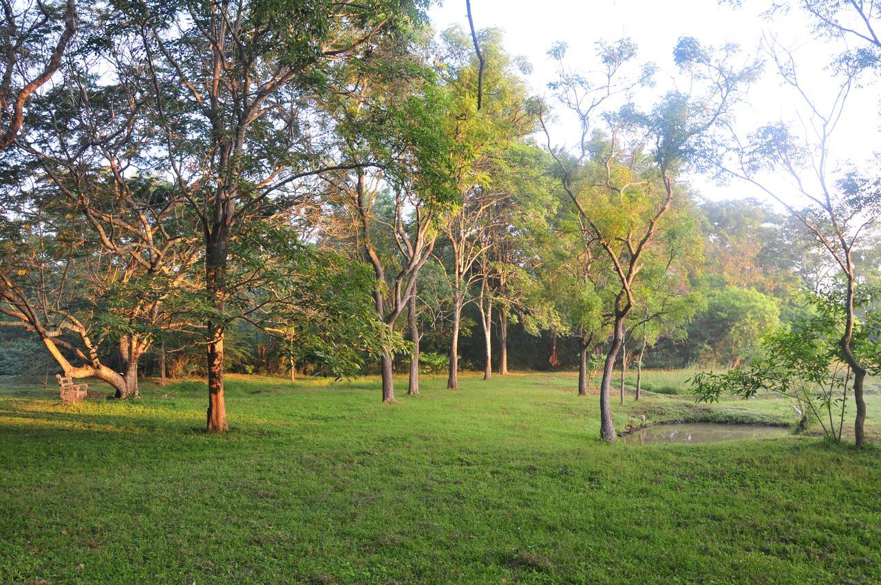 Villa Waters Edge, Anurâdhapura Extérieur photo
