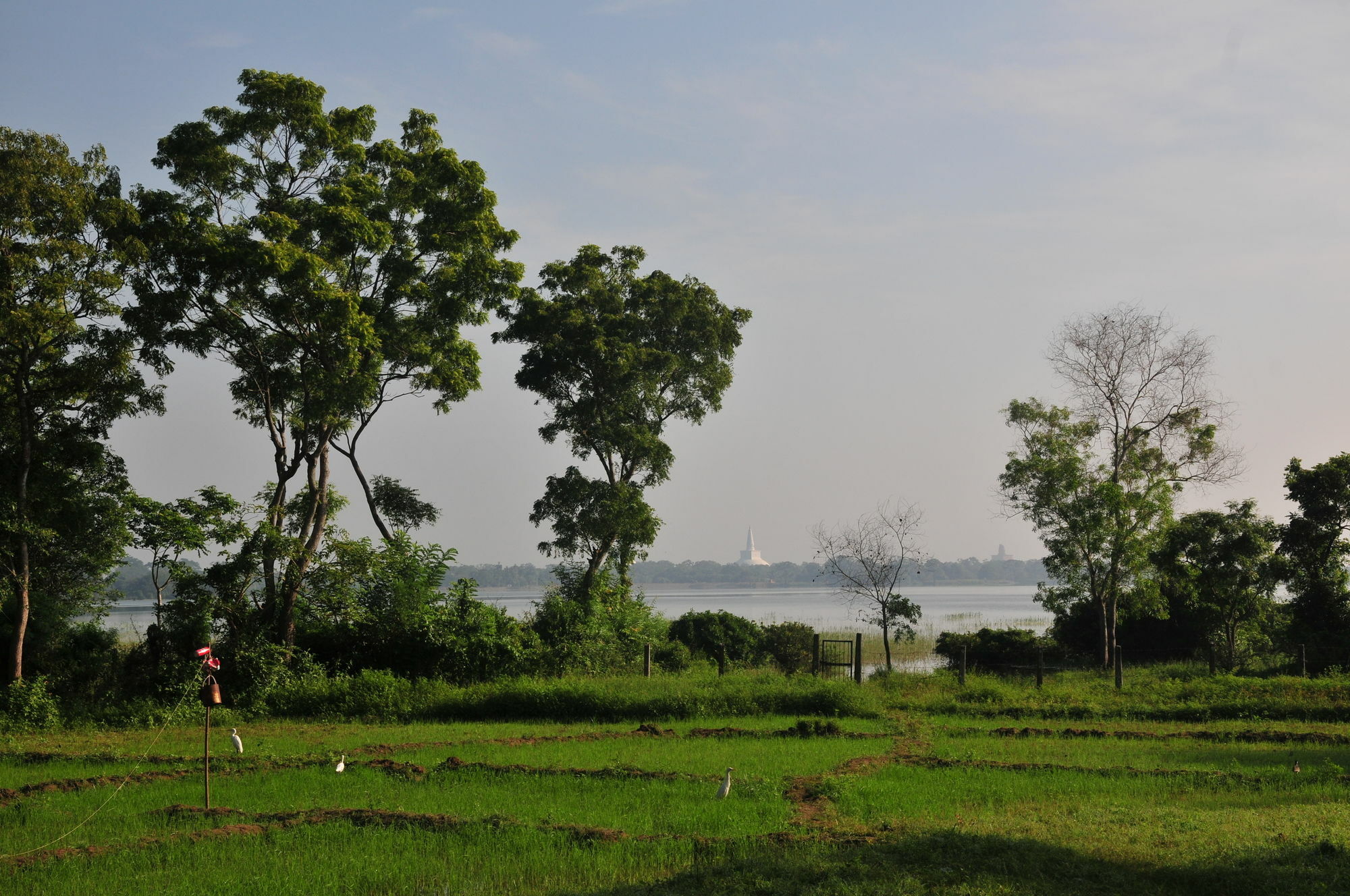Villa Waters Edge, Anurâdhapura Extérieur photo