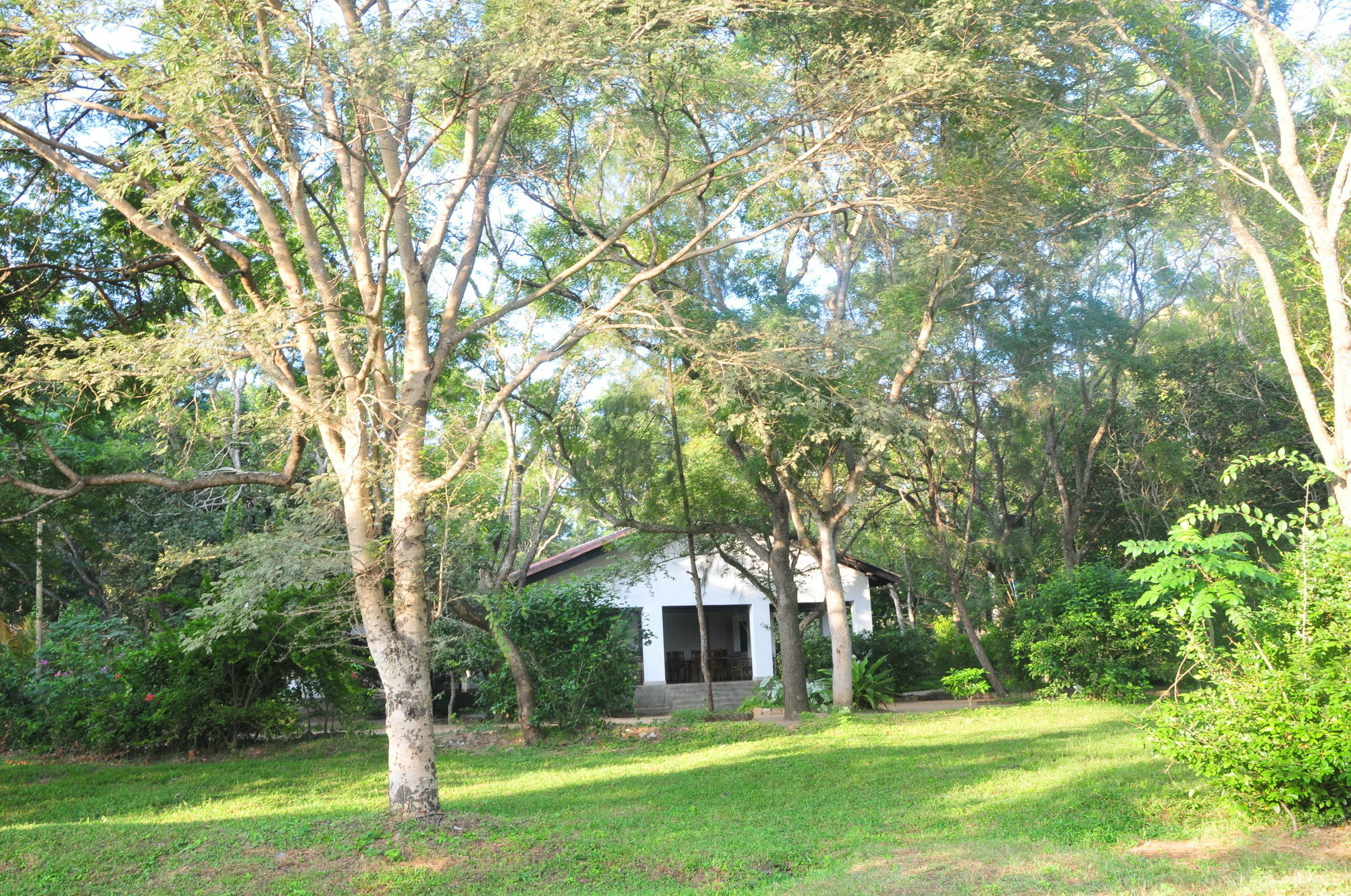 Villa Waters Edge, Anurâdhapura Extérieur photo